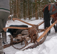 fileadmin/roha/images_galerie/Landwirtschaft/Forst-Holzknecht/HOLZKNE-HAM-PFERD-0015-1124-D-roha-Holzknecht-Pferd-Schlitten-Winter-Siegsdorf-Hammer-Winterzug.png