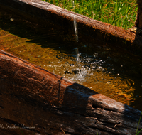 fileadmin/roha/images_galerie/Wasser-Brunnen/LANDA-BRUN-GROSSG-0009-D-roha-Landart-Brunnen-Grossgmain-Wasser.png