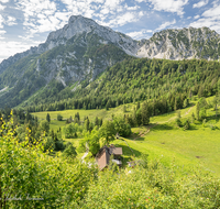 fileadmin/roha/images_galerie/orte_landschaft/Anger/Anger/PID-STEIN-ALM-0015-0-10-D-roha-Piding-Steiner-Alm-Hochstaufen-Mittelstaufen-Zwiesel.png