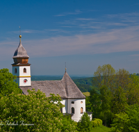 fileadmin/roha/images_galerie/kirche_religion/Siegsdorf/SIE-MA-0009-D-roha-Siegsdorf-Maria-Eck-Wallfahrtsort-Kirche-Kastanienbaum.png