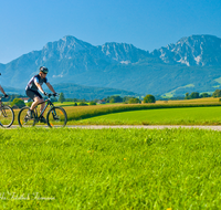 fileadmin/roha/images_galerie/Freizeit-Sport/Mountainbike-Radfahren/SPO-MOUN-ABTS-0036-D-roha-Sport-Mountainbike-Saaldorf-Abtsdorf-Hochstaufen-Zwiesel-Panorama.png