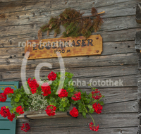 fileadmin/roha/images_galerie/orte_landschaft/Lofer-Kirchental-Wildenthal-Unken/UNK-HEUT-HOCH-0005-D-roha-Unken-Heutal-Hochalm-Eggerkaser-Alm-Blumenschmuck-Geranien.jpg