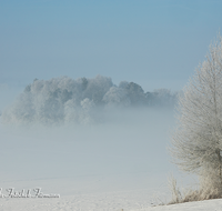 fileadmin/roha/images_galerie/Winter/WINT-HAARM-0010-D-roha-Winter-Haarmoos-Schnee-Rauhreif-Nebel.png