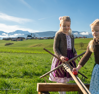 fileadmin/roha/images_galerie/brauchtum/Ostern/BR-OST-EIER-101-1031-2-D-roha-Brauchtum-Ostern-Ostereier-Scheiben-Rechenstiel.png