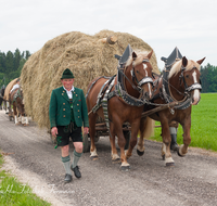 fileadmin/roha/images_galerie/brauchtum/Leonhardiritt/Holzhausen_01/Kaltblutfest/BR-PFRI-HOLZ-KALTBL-2015-1122-01-D-roha-Brauchtum-Kaltblut-Pferd-Holzhausen-Teisendorf-Heuwagen.png