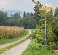 fileadmin/roha/images_galerie/kirche_religion/Tei-Wei-Rosenkranzweg/KKKM-TEI-WEI-ROS-14-0005-D-roha-Wegkreuz-Rosenkranz-Station-Teisendorf-Weildorf-Wanderweg-Schild.png