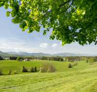 fileadmin/roha/images_galerie/orte_landschaft/Teisendorf/Neukirchen/LANDS-NEUK-PAN-0008-D-roha-Landschaft-Neukirchen-Chiemgau-Berge.png