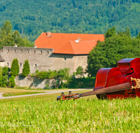 fileadmin/roha/images_galerie/musik/klassisch/MU-BASSG-BAD-REI-0006-D-roha-Musik-Bassgeige-Bad-Reichenhall-Burg-Gruttenstein.png