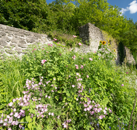 fileadmin/roha/Interessantes-in-Kurzform/BAD-REI-PULV-0007-D-roha-Bad-Reichenhall-Pulverturm-Stadtmauer-Blumenwiese.png