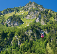 fileadmin/roha/images_galerie/orte_landschaft/Bergen/BERG-HOCHF-BAHN-0001-D-roha-Bergen-Hochfelln-Bergbahn-Gondel-Gipfel.png