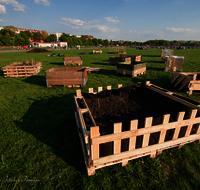 fileadmin/roha/images_galerie/orte_landschaft/Berlin/BERL-TEMP-0001-D-roha-Berlin-Tempelhof-Gemuesebeet.png