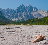 fileadmin/roha/images_galerie/orte_landschaft/Berchtesgaden/Wimbachklamm-Wimbachgries/BGD-WIMB-0024-D-roha-Berchtesgaden-Ramsau-Wimbachgries-Nationalpark-Palfenhorn-Totholz.png