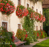 fileadmin/roha/images_galerie/Baum-natur-garten/Haus-Blumenschmuck-Deko/LANDA-BLUMENSCHM-STEIN-0001-D-roha-Landart-Blumenschmuck-Steinhoegl-Geranien-Bauernhaus.png