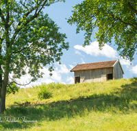 fileadmin/roha/images_galerie/dies_das/LANDA-STAD-WEIL-0001-D-roha-Landart-Stadel-Baum-Weildorf.png