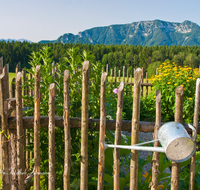 fileadmin/roha/images_galerie/Zaun-Bank/LANDA-ZAUN-INZ-HOLZ-0002-D-roha-Landart-Garten-Zaun-Giesskanne-Inzell.png