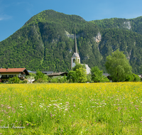 fileadmin/roha/images_galerie/orte_landschaft/Lofer-Kirchental-Wildenthal-Unken/LOFER-St-Martin-0003-D-roha-Lofer-St-Martin-Blumenwiese.png