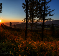 fileadmin/roha/images_galerie/stimmung-Sonne/Sonnenaufgang/SO-AU-ANG-TEISB-STOISSB-0001-0555-D-roha-Sonnenaufgang-Anger-Stoissberg-Neuhaus.png