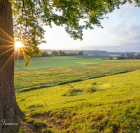 fileadmin/roha/Interessantes-in-Kurzform/ab-4-2021/SON-AU-WEI-KOTH-0001-0537-D-roha-Sonnenaufgang-Kothbruenning.png