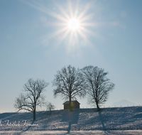 fileadmin/roha/images_galerie/Winter/STIM-WEIL-WI-0004-D-roha-Stimmung-Weildorf-Teisendorf-Winter-Raureif-Stadel-Sonne.png