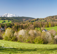 fileadmin/roha/images_galerie/orte_landschaft/Anger/Hoeglwoerth/AN-HOE-PAN-0121-1-D-roha-Anger-Hoelgwoerth-Panorama-Hochstaufen-Zwiesel-Fruehling.png