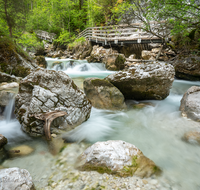 fileadmin/roha/images_galerie/orte_landschaft/Berchtesgaden/Ramsau/BGD-RA-ZAUB-0017-D-roha-Berchtesgaden-Ramsau-Zauberwald-Wildwasser-Weg-Steg.png