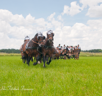 fileadmin/roha/images_galerie/brauchtum/Leonhardiritt/Holzhausen_01/Kaltblutfest/BR-PFRI-HOLZ-KALTBL-0015-0-0-4-D-roha-Brauchtum-Kaltblut-Pferd-Kutsche-Holzhausen-Teisendorf-Zehner-Zug.png