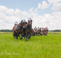 fileadmin/roha/images_galerie/brauchtum/Leonhardiritt/Holzhausen_01/Kaltblutfest/BR-PFRI-HOLZ-KALTBL-0015-0-0-4-D-roha-Brauchtum-Kaltblut-Pferd-Kutsche-Holzhausen-Teisendorf-Zehner-Zug.png