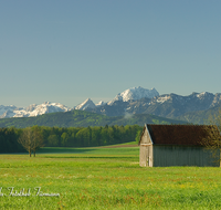 fileadmin/roha/images_galerie/orte_landschaft/Haarmoos/HAARM-0035-D-roha-Abtsdorf-Haarmoos-Watzmann-Schlafende-Hexe-Stadel-Fruehling.png