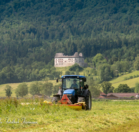 fileadmin/roha/images_galerie/Landwirtschaft/LANDW-MASCH-PID-0004-D-roha-Landwirtschaft-Piding-Maehen-Schloss-Staufeneck.png