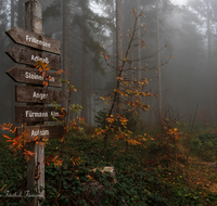 fileadmin/roha/images_galerie/stimmung-Sonne/WEGE-AN-SONNL-0002-D-roha-Weg-Anger-Sonnleitenberg-Beschilderung.png