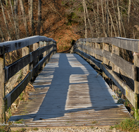 fileadmin/roha/images_galerie/wege/WEGE-HOEGLW-0021-D-roha-Steg-Weg-Hoeglwoerther-See-Herbst-Wald-Rauhreif_01.png