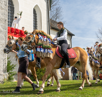 fileadmin/roha/images_galerie/brauchtum/Leonhardiritt/Traunstein-Georgiritt/BR-PFRI-TRAUNST-2019-1112-02-D-roha-Brauchtum-Pferdeumritt-Georgiritt-Traunstein-Ettendorfer-Kircherl.png