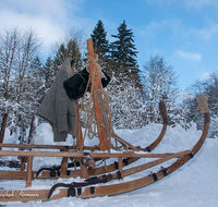 fileadmin/roha/images_galerie/Landwirtschaft/Forst-Holzknecht/HOLZKNE-HAM-0003-02-D-roha-Holzknecht-Schlitten-Winter-Siegsdorf-Hammer-Winterzug.png