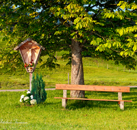 fileadmin/roha/images_galerie/kirche_religion/Neukirchen/KKKM-NEUK-GSCHWEND-0010-D-roha-Wegkreuz-Neukirchen-Teisendorf-Bank-Baum-Christus-Kastanie.png