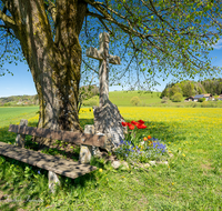 fileadmin/roha/images_galerie/kirche_religion/Teisendorf/Oberteisendorf/KKKM-TEIS-OBERT-0009-09-D-roha-Wegkreuz-Oberteisendorf-Fruehling-Knapper.png