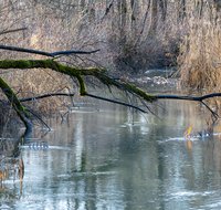 fileadmin/roha/images_galerie/orte_landschaft/Saaldorf/LANDS-SAAL-SUR-MITTG-0010-D-roha-Landschaft-Saaldorf-Surheim-Mittergraben.png