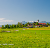 fileadmin/roha/images_galerie/orte_landschaft/Teisendorf/Weildorf/TEI-WEI-0001-P1-D-roha-Teisendorf-Weildorf-Kirche-Hochstaufen-Zwiesel.png