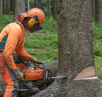 fileadmin/roha/images_galerie/Landwirtschaft/Forst-Holzknecht/HOLZKNE-0004-2018-1441-01-D-roha-Holzknecht-Teisenberg-Baum-Fichte-Motorsaege.png