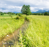 fileadmin/roha/images_galerie/orte_landschaft/Teisendorf/IN-LANDS-Teisendorf/LANDS-TEIS-0002-11-D-roha-Landschaft-Teisendorf-Karlsbach-Hochstaufen-Hochwasser.png