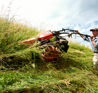 fileadmin/roha/images_galerie/Landwirtschaft/LANDW-EXPON-IRLB-0005-D-roha-Landwirtschaft-exponiert-Anger-Irlberg-maehen-Heu.png