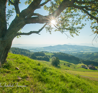 fileadmin/roha/images_galerie/stimmung-Sonne/STIM-ANG-STOISSB-0001-D-roha-Stimmung-Anger-Stoissberg-Sonne-Landschaft.png