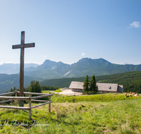 fileadmin/roha/images_galerie/orte_landschaft/Stoisser-Alm/TEI-STO-0020-D-roha-Teisendorf-Anger-Stoisseralm-Hochstaufen-Zwiesel-Gipfel-Kreuz-Kuh.png