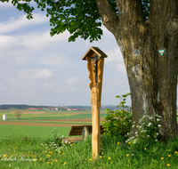 fileadmin/roha/images_galerie/kirche_religion/Palling-Kirchweidach-Tyrlaching/TYRLACH-KKKM-0002-D-roha-Tyrlaching-Wegkreuz-Bank-Oberbuch-Landschaft-Baum.png