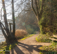 fileadmin/roha/images_galerie/orte_landschaft/Anger/Hoeglwoerth/AN-HOE-WEG-0001-D-roha-Anger-Hoeglwoerther-See-Rundweg-Herbst-Bank.png