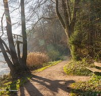 fileadmin/roha/images_galerie/orte_landschaft/Anger/Hoeglwoerth/AN-HOE-WEG-0001-D-roha-Anger-Hoeglwoerther-See-Rundweg-Herbst-Bank.png