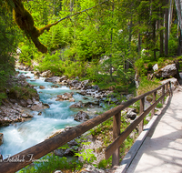 fileadmin/roha/images_galerie/orte_landschaft/Berchtesgaden/Ramsau/BGD-RA-ZAUB-0013-D-roha-Berchtesgaden-Ramsau-Zauberwald-Wildwasser-Weg-Steg.png