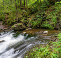 fileadmin/roha/images_galerie/orte_landschaft/Inzell/INZ-WEISSB-QUE-0002-D-roha-Inzell-Weissbach-Quelle.png