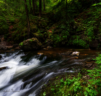 fileadmin/roha/images_galerie/orte_landschaft/Inzell/INZ-WEISSB-QUE-0002-D-roha-Inzell-Weissbach-Quelle.png