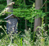 fileadmin/roha/images_galerie/kirche_religion/Ainring-Kreuzweg/KKKM-AINR-KR-07-0004-D-roha-Kreuzweg-Ainring-Ulrichshoegl-Wald.png