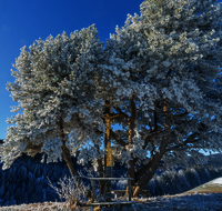 fileadmin/roha/Interessantes-in-Kurzform/ab-1-2025/KKKM-ANG-FUERM-WI-0001-D-roha-Gipfel-Weg-Kreuz-Anger-Fuermann-Alm-Winter.png